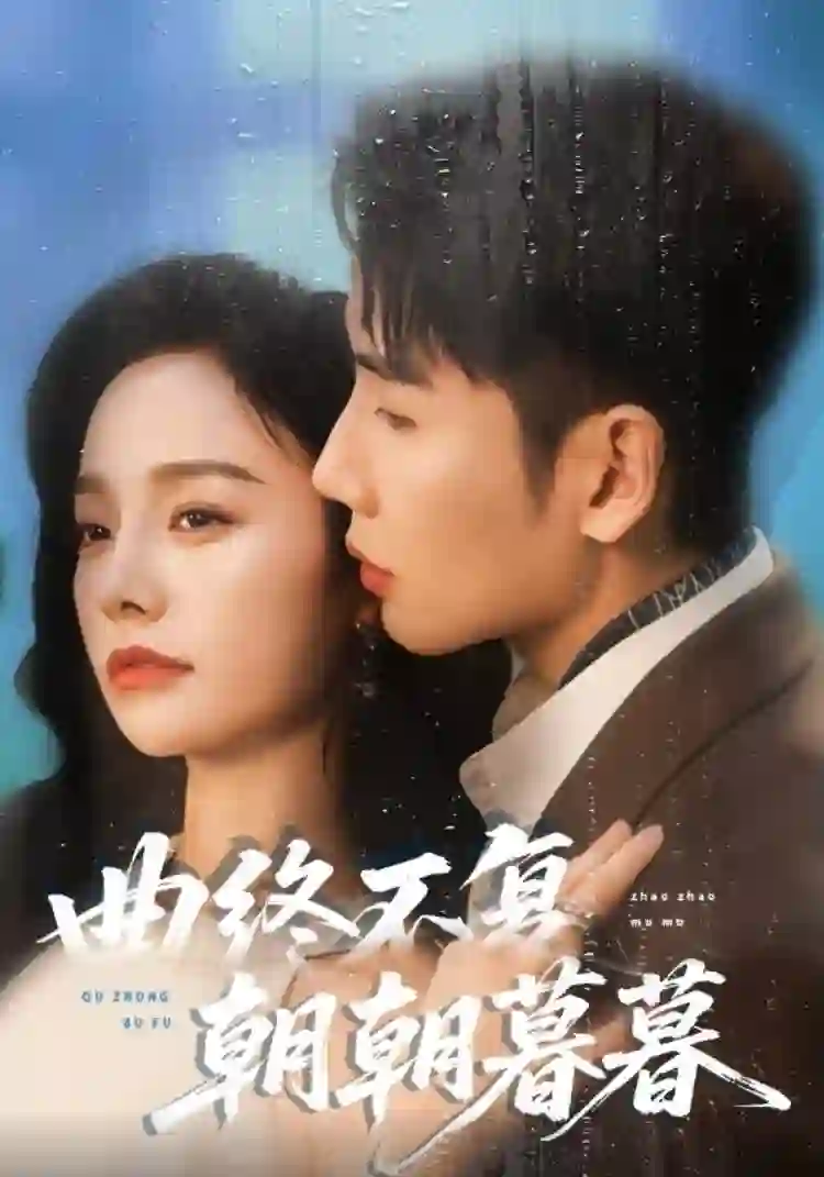 曲终不复朝朝暮暮