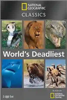 世界致命动物系列：印度篇