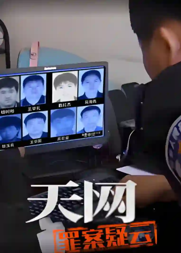 天网：罪案疑云